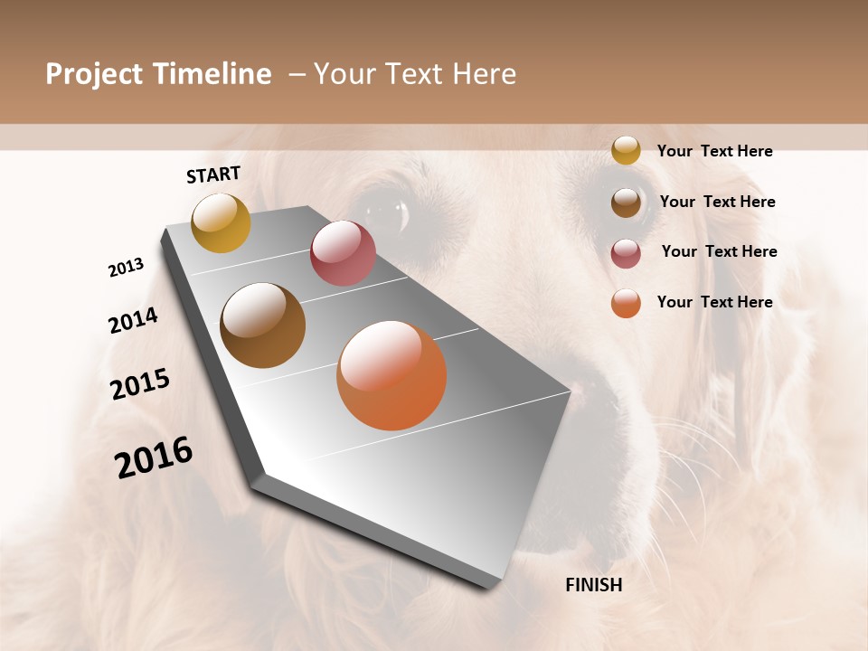 A Dog With A Hat On It's Head PowerPoint Template