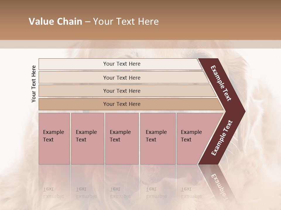 A Dog With A Hat On It's Head PowerPoint Template