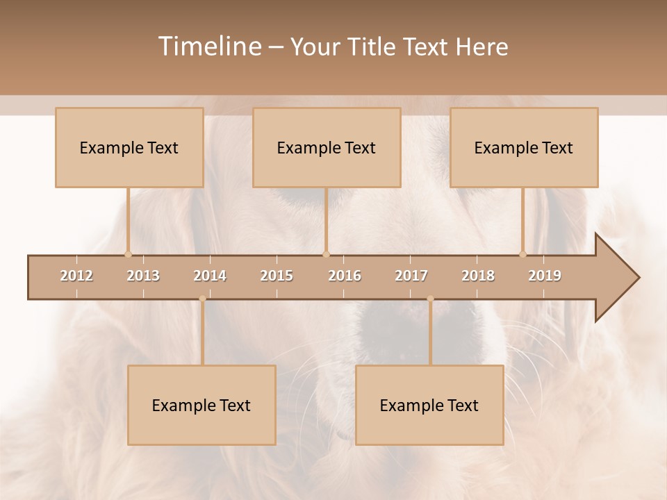 A Dog With A Hat On It's Head PowerPoint Template