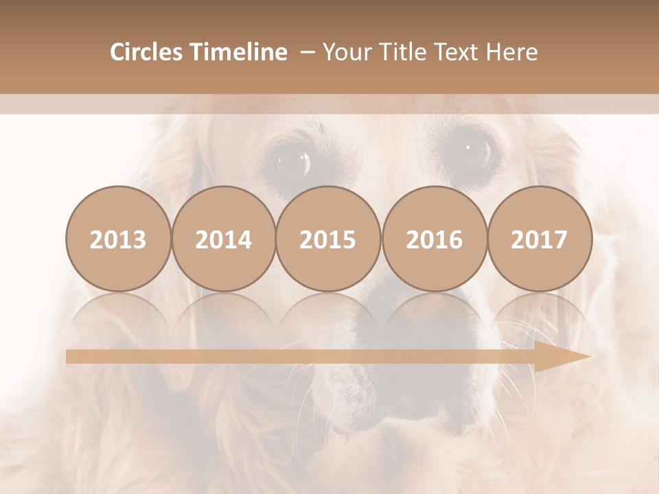 A Dog With A Hat On It's Head PowerPoint Template