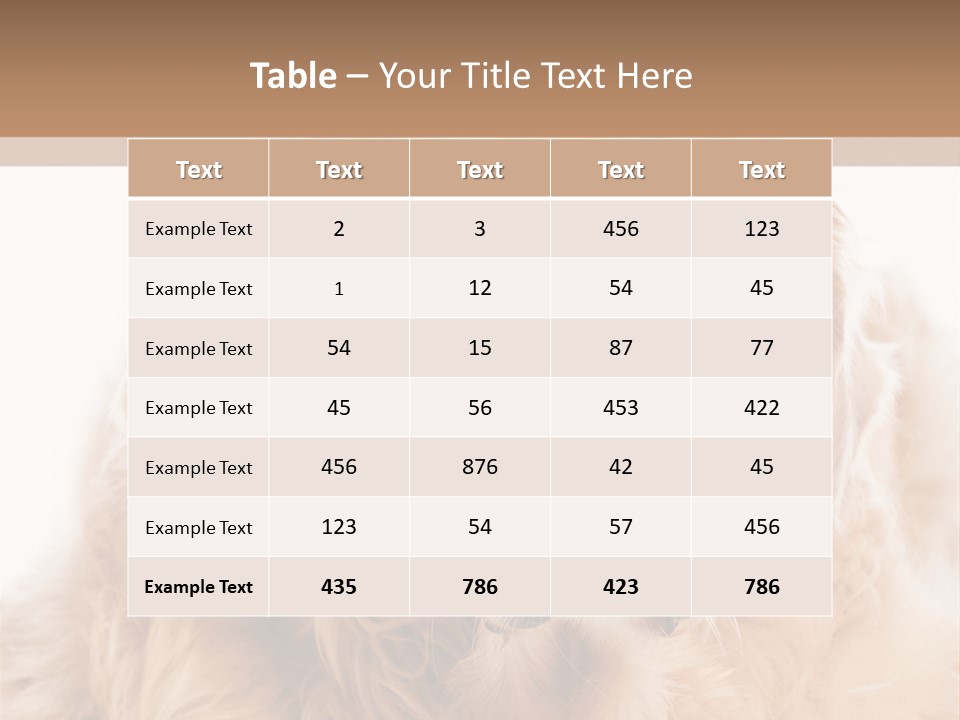 A Dog With A Hat On It's Head PowerPoint Template