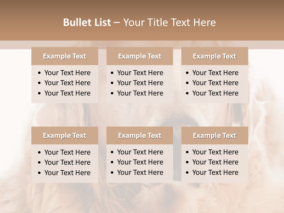 A Dog With A Hat On It's Head PowerPoint Template