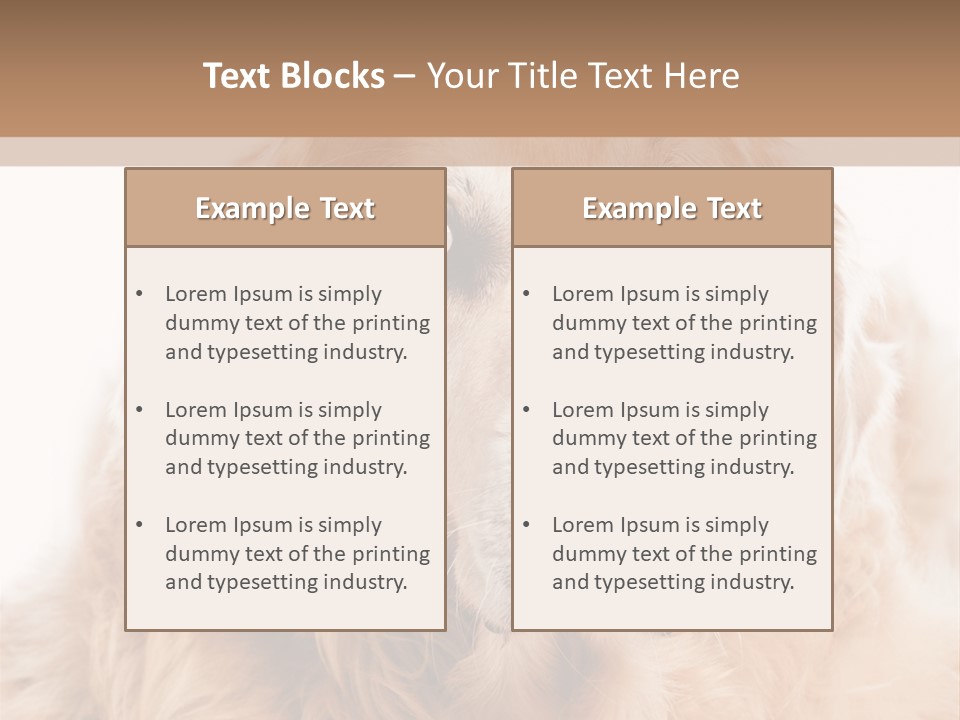 A Dog With A Hat On It's Head PowerPoint Template