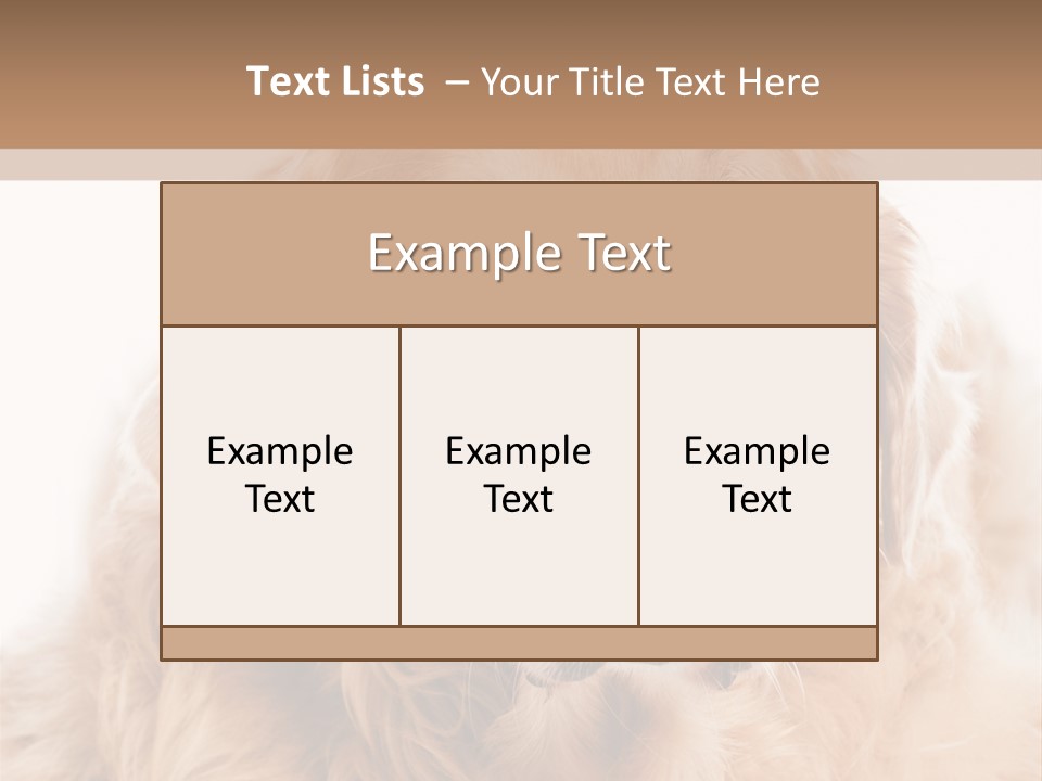 A Dog With A Hat On It's Head PowerPoint Template