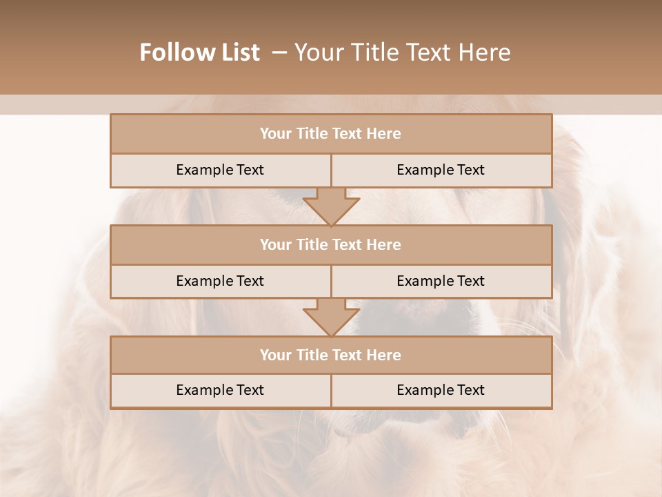 A Dog With A Hat On It's Head PowerPoint Template