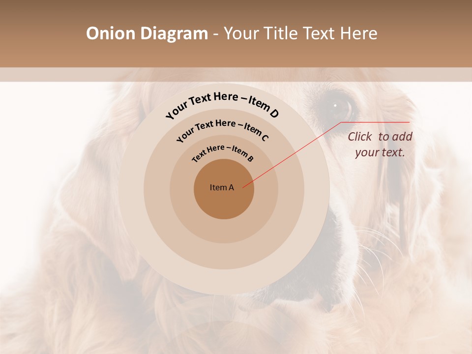 A Dog With A Hat On It's Head PowerPoint Template