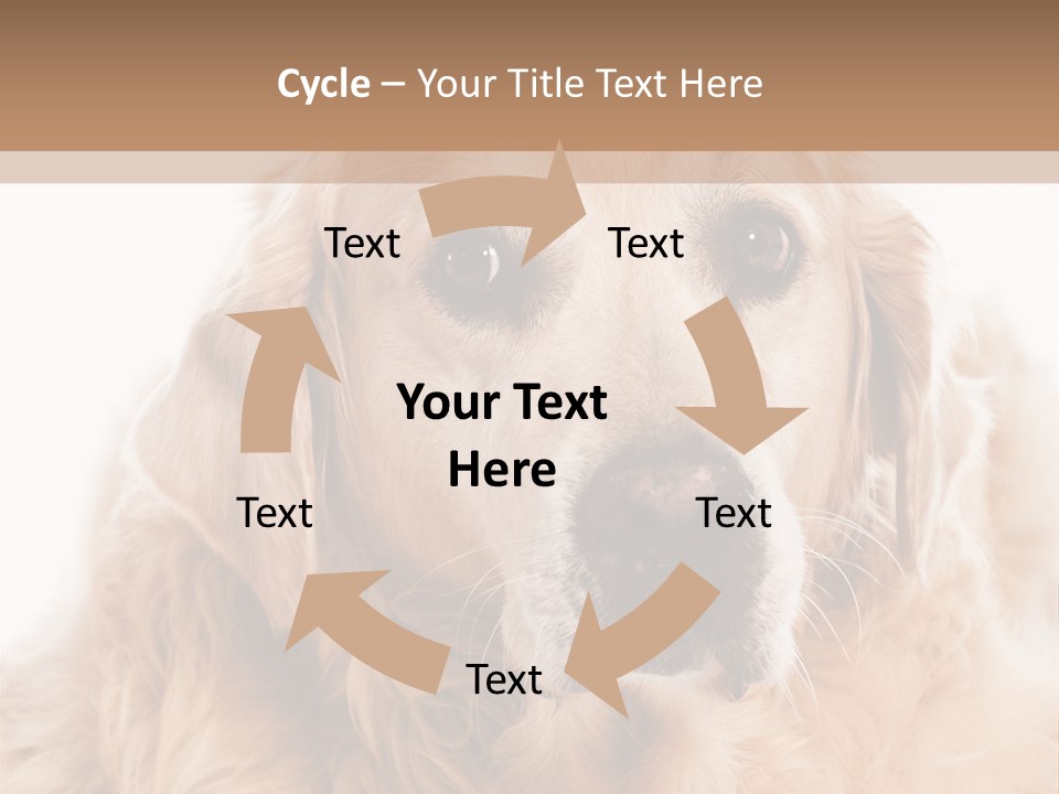 A Dog With A Hat On It's Head PowerPoint Template