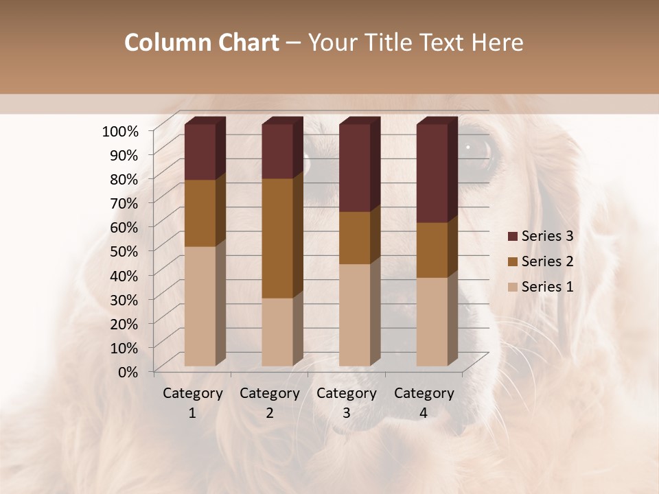 A Dog With A Hat On It's Head PowerPoint Template