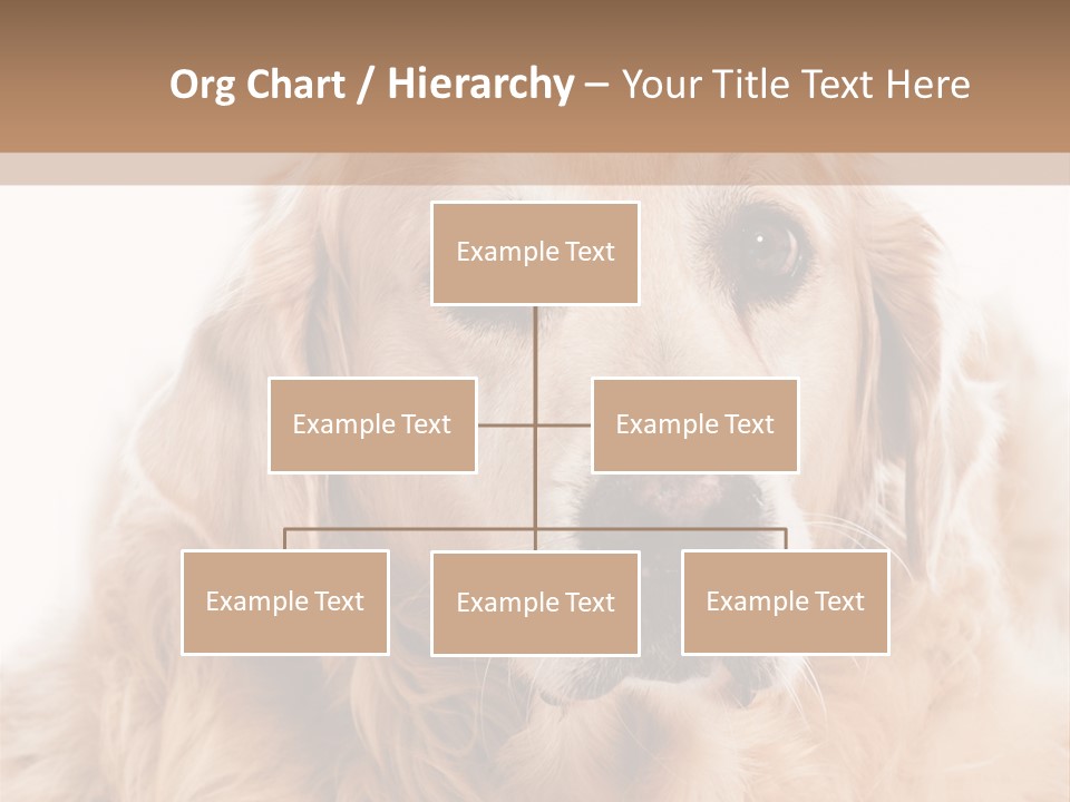 A Dog With A Hat On It's Head PowerPoint Template