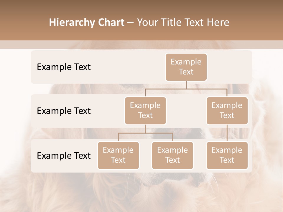 A Dog With A Hat On It's Head PowerPoint Template