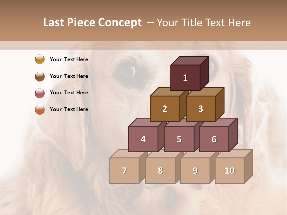 A Dog With A Hat On It's Head PowerPoint Template