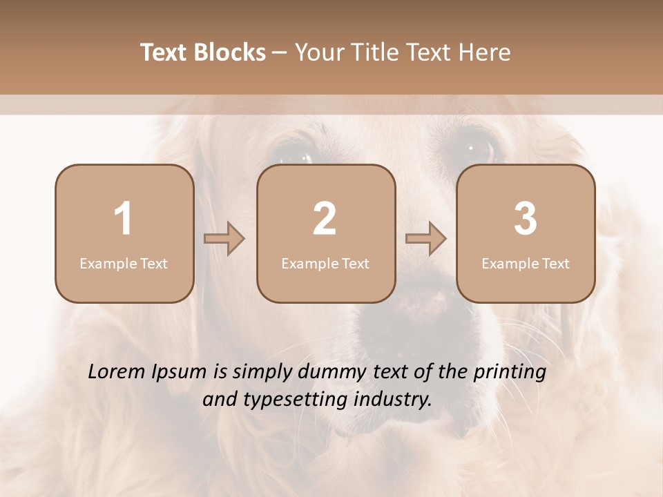 A Dog With A Hat On It's Head PowerPoint Template