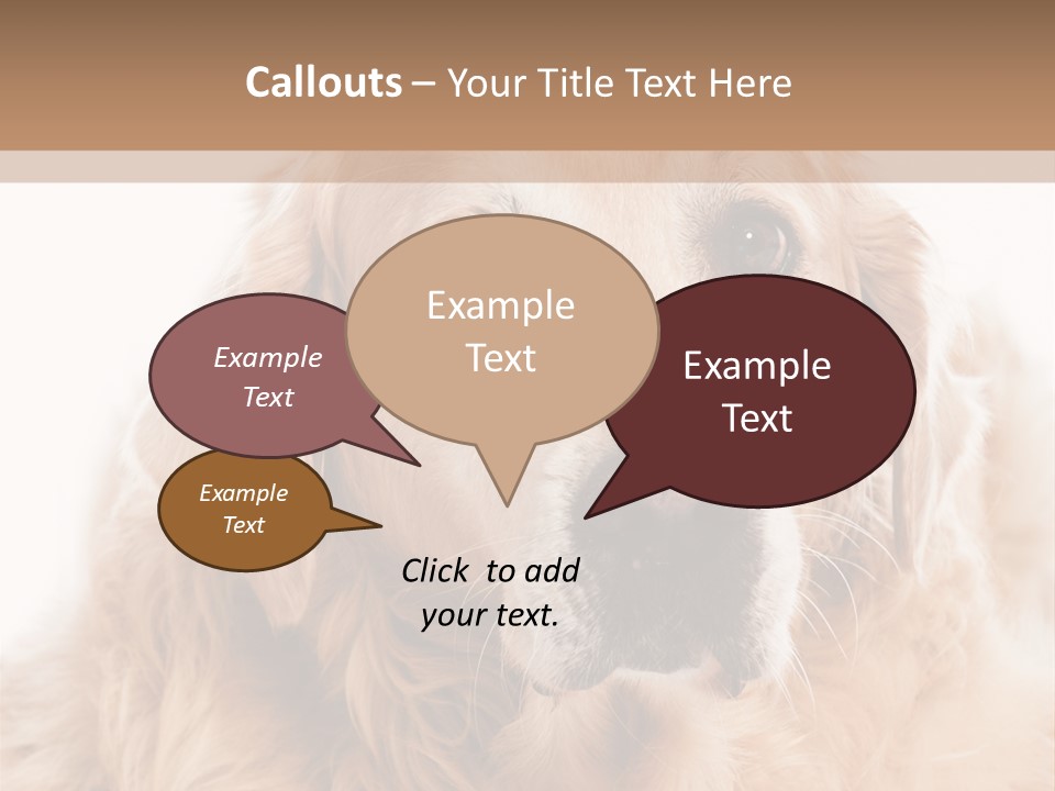 A Dog With A Hat On It's Head PowerPoint Template