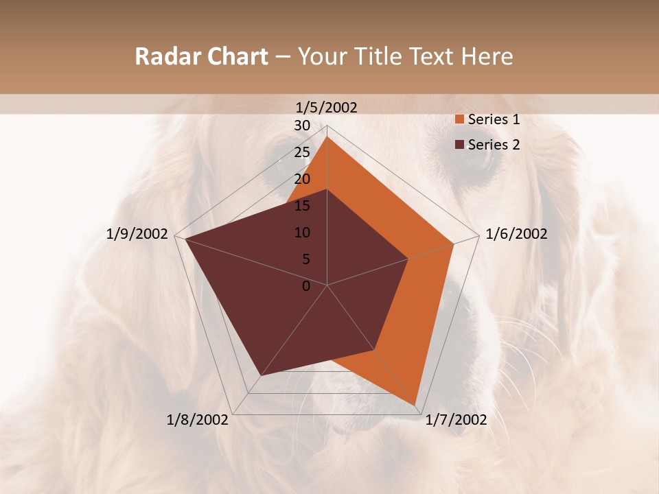 A Dog With A Hat On It's Head PowerPoint Template