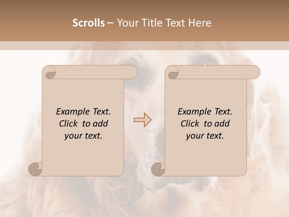 A Dog With A Hat On It's Head PowerPoint Template