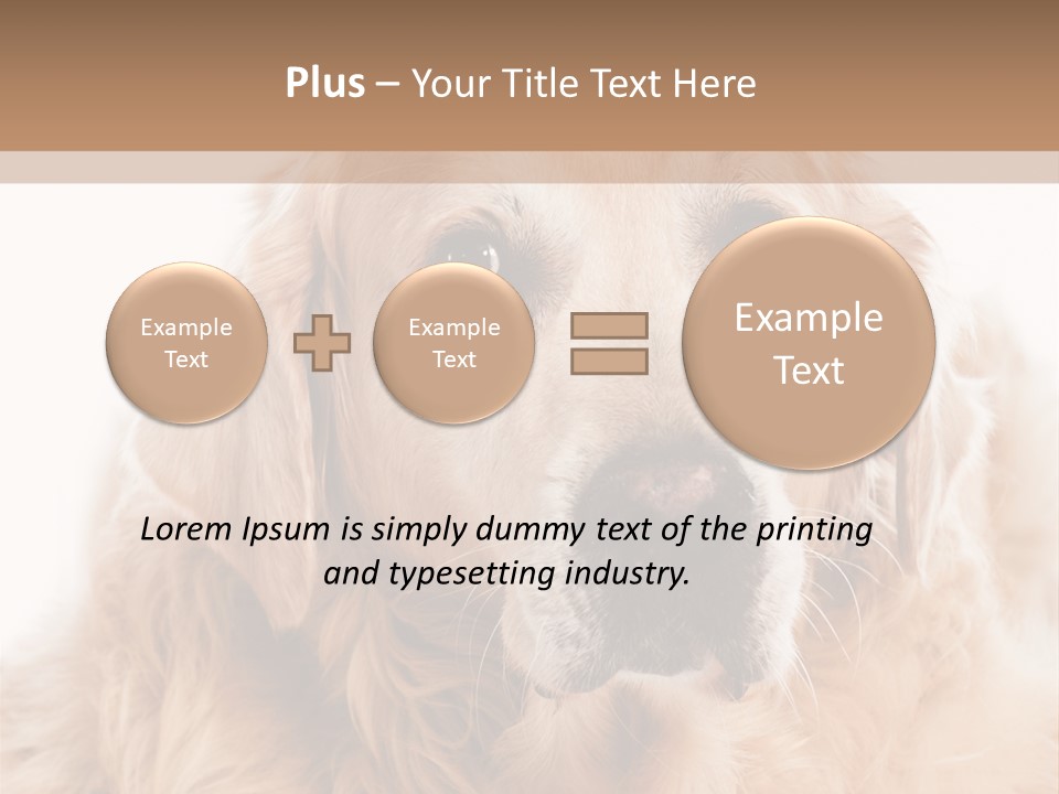 A Dog With A Hat On It's Head PowerPoint Template