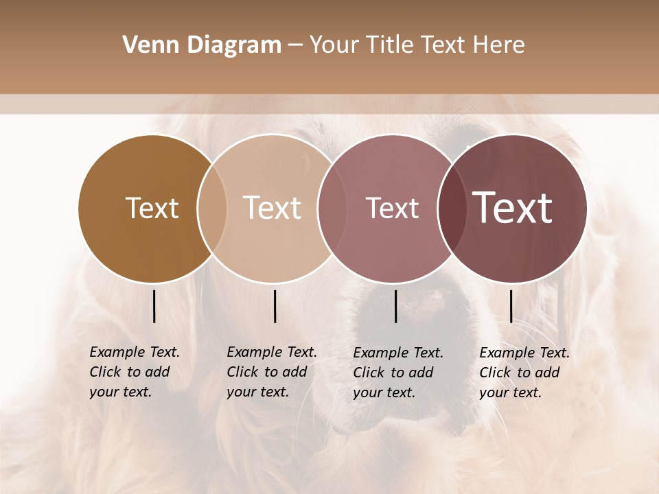 A Dog With A Hat On It's Head PowerPoint Template