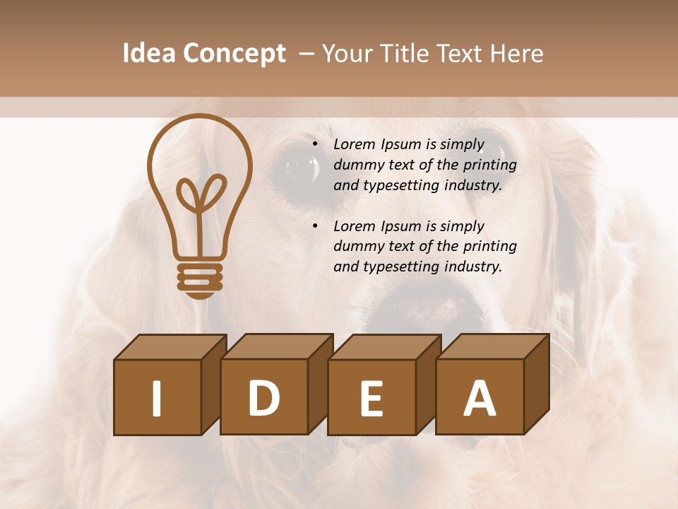 A Dog With A Hat On It's Head PowerPoint Template