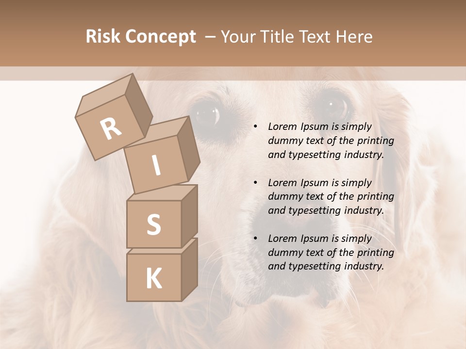 A Dog With A Hat On It's Head PowerPoint Template