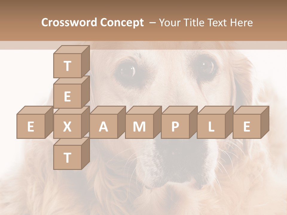 A Dog With A Hat On It's Head PowerPoint Template