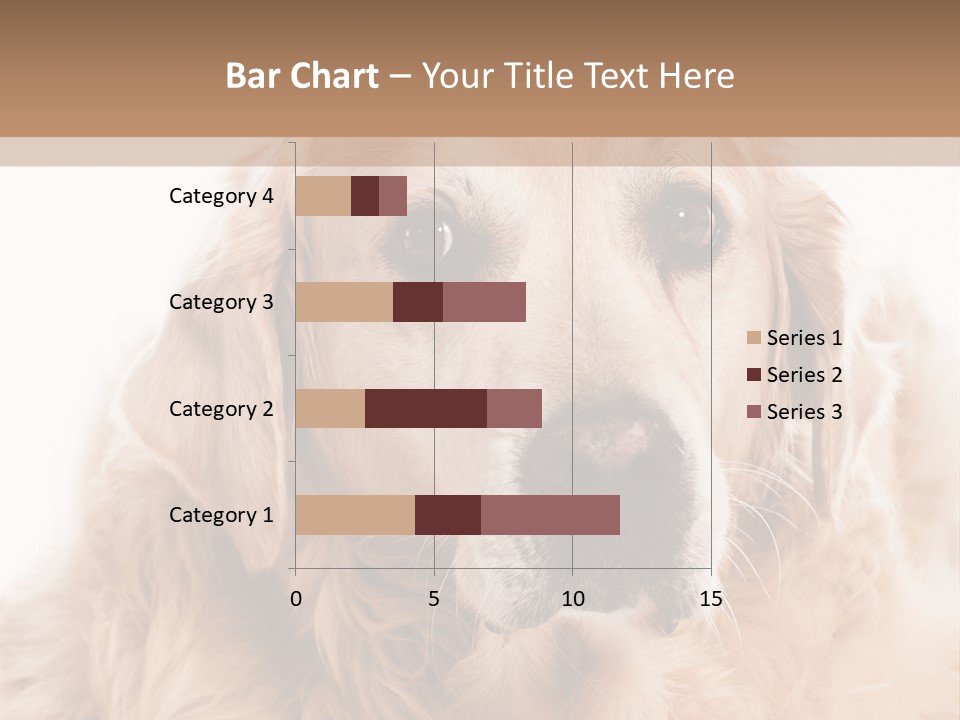 A Dog With A Hat On It's Head PowerPoint Template