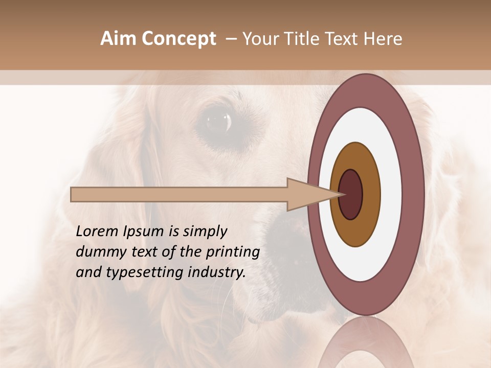 A Dog With A Hat On It's Head PowerPoint Template