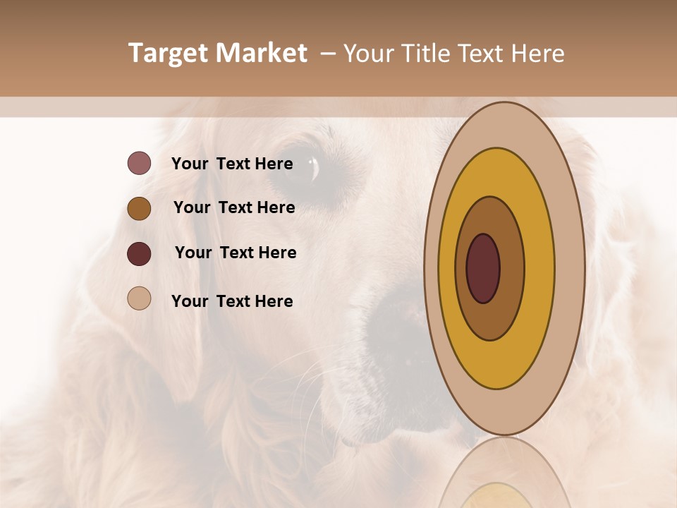 A Dog With A Hat On It's Head PowerPoint Template