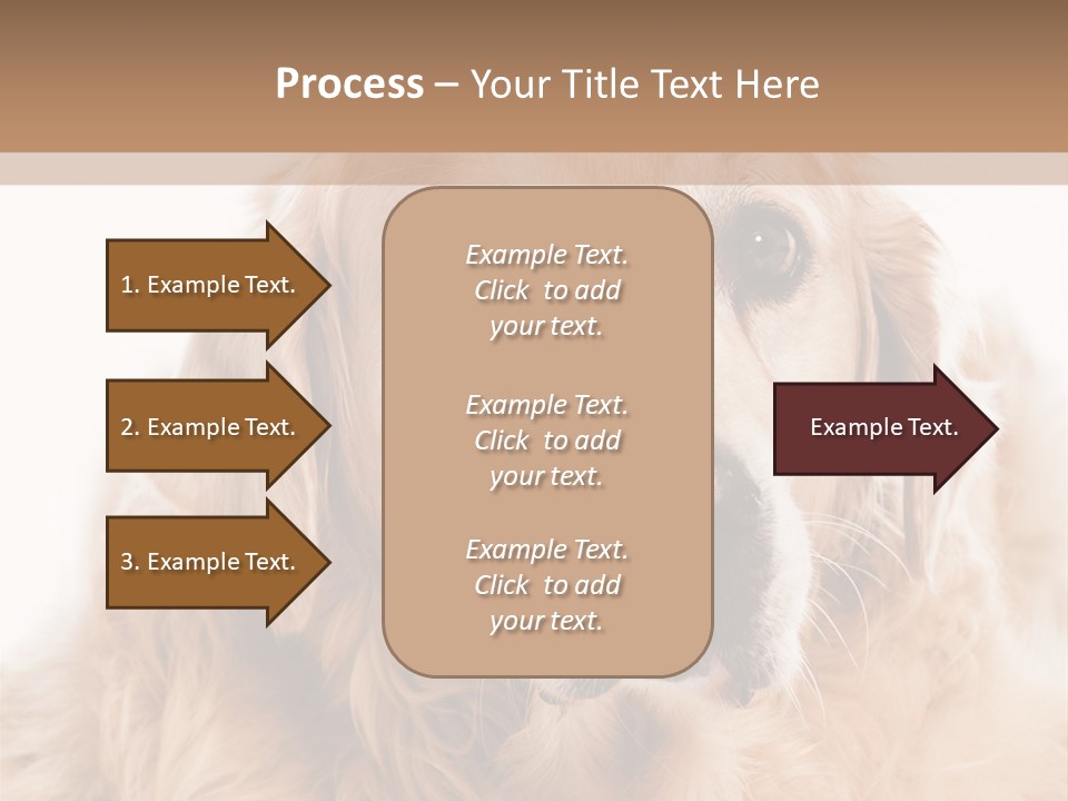 A Dog With A Hat On It's Head PowerPoint Template