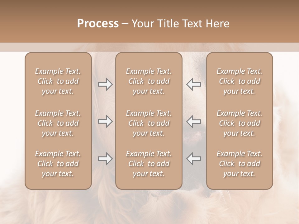 A Dog With A Hat On It's Head PowerPoint Template