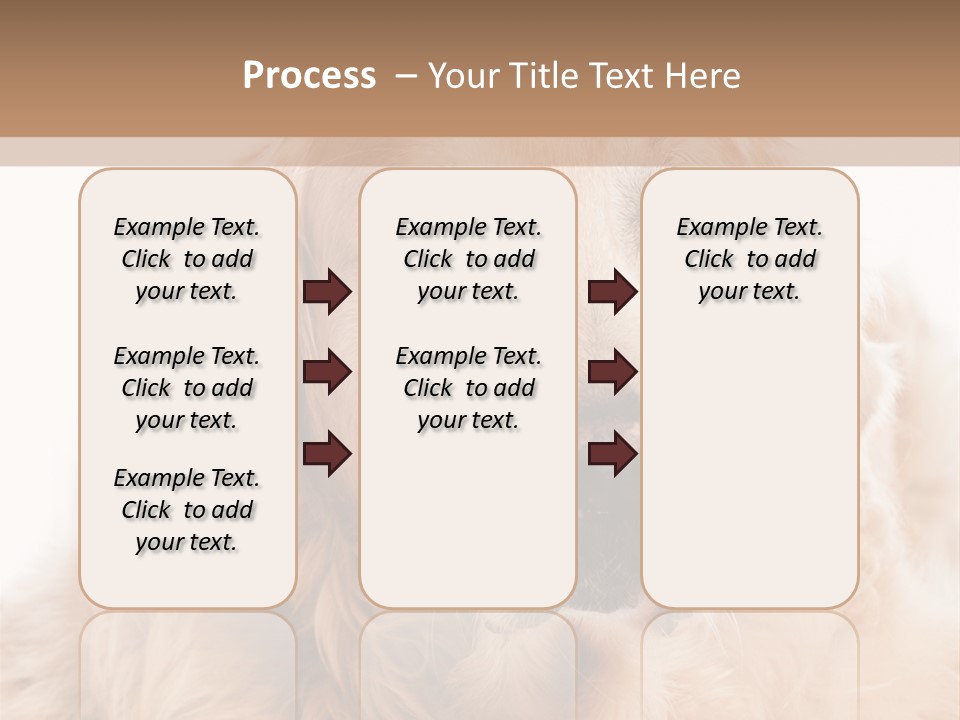 A Dog With A Hat On It's Head PowerPoint Template