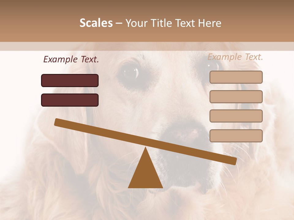 A Dog With A Hat On It's Head PowerPoint Template