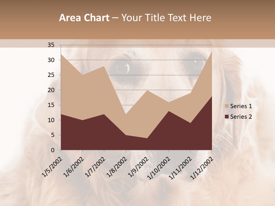 A Dog With A Hat On It's Head PowerPoint Template