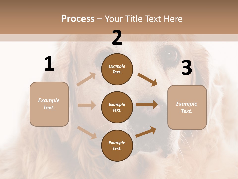 A Dog With A Hat On It's Head PowerPoint Template