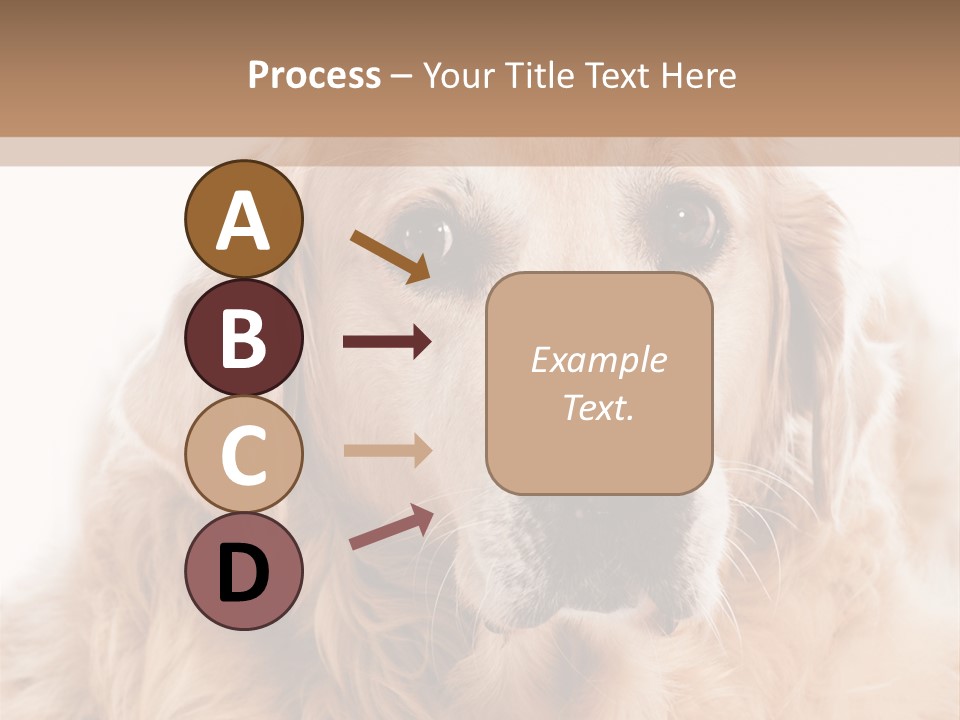 A Dog With A Hat On It's Head PowerPoint Template