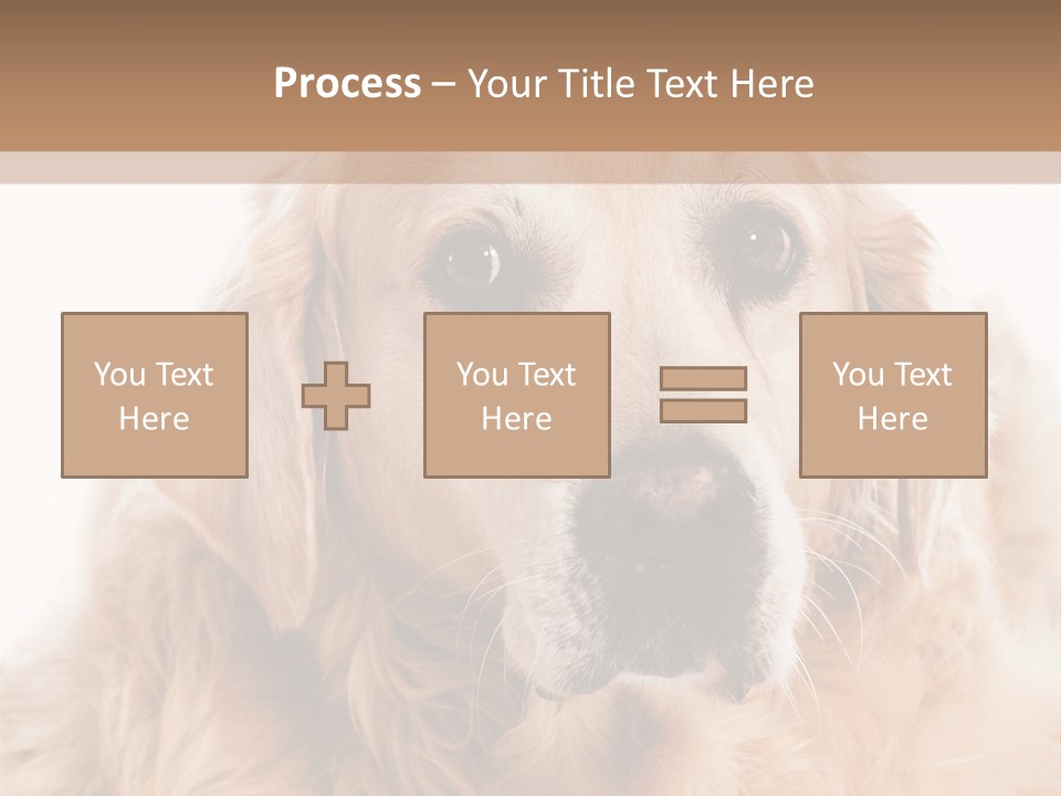 A Dog With A Hat On It's Head PowerPoint Template