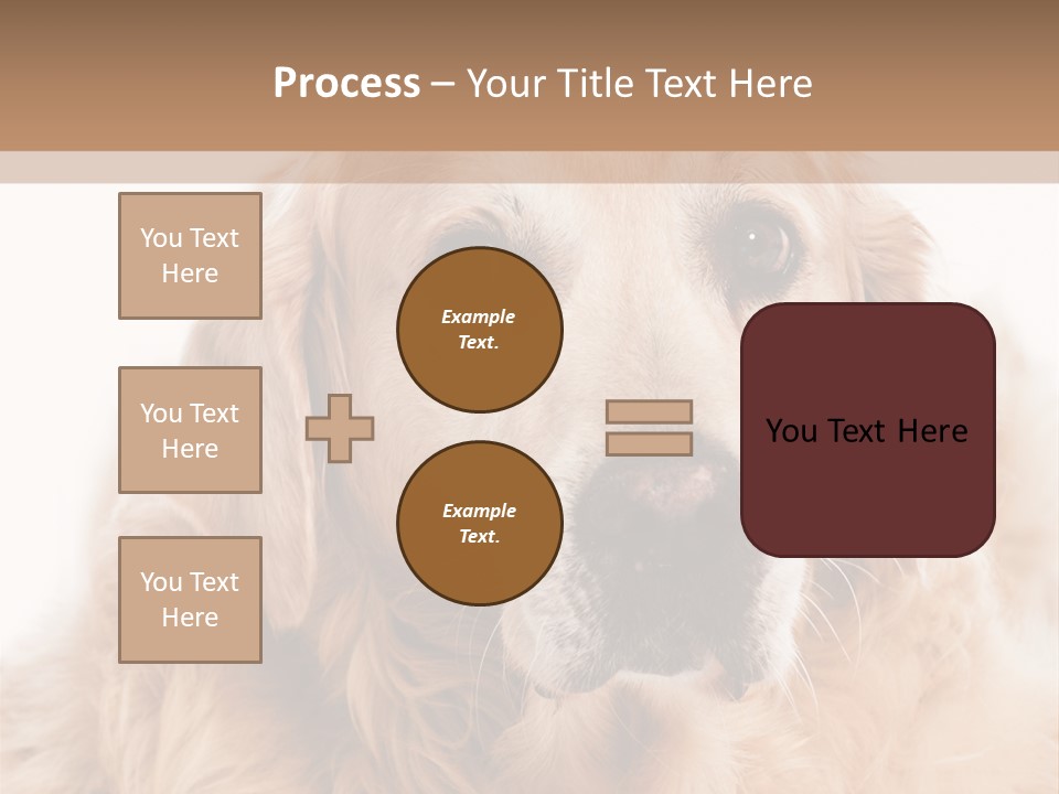 A Dog With A Hat On It's Head PowerPoint Template