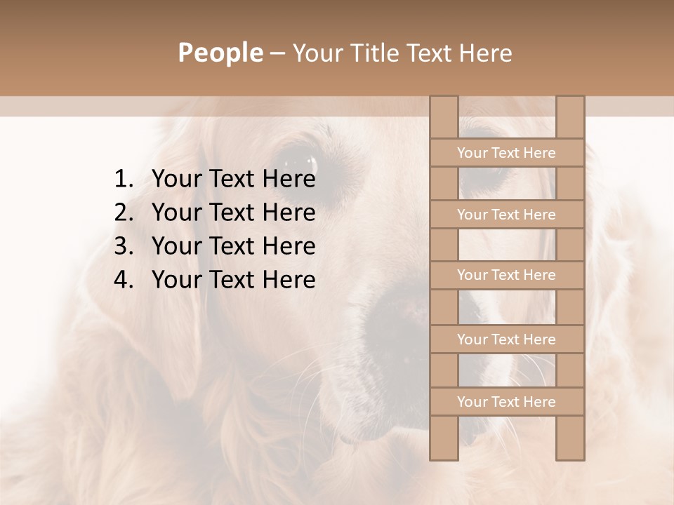 A Dog With A Hat On It's Head PowerPoint Template