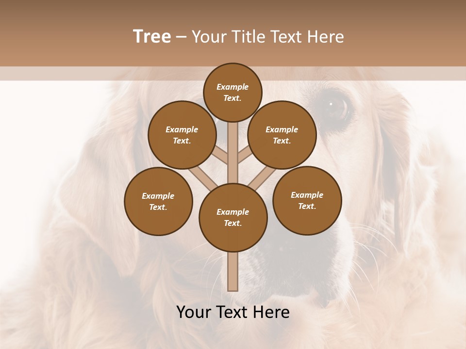 A Dog With A Hat On It's Head PowerPoint Template