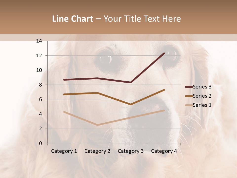 A Dog With A Hat On It's Head PowerPoint Template