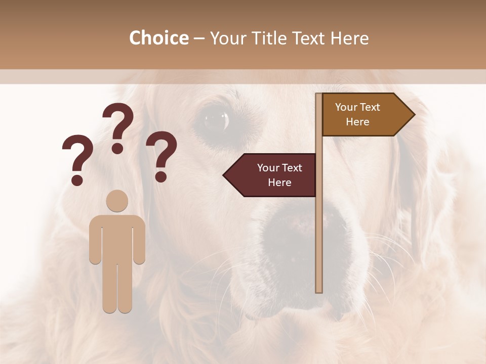 A Dog With A Hat On It's Head PowerPoint Template
