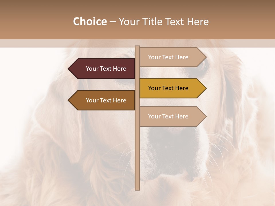 A Dog With A Hat On It's Head PowerPoint Template