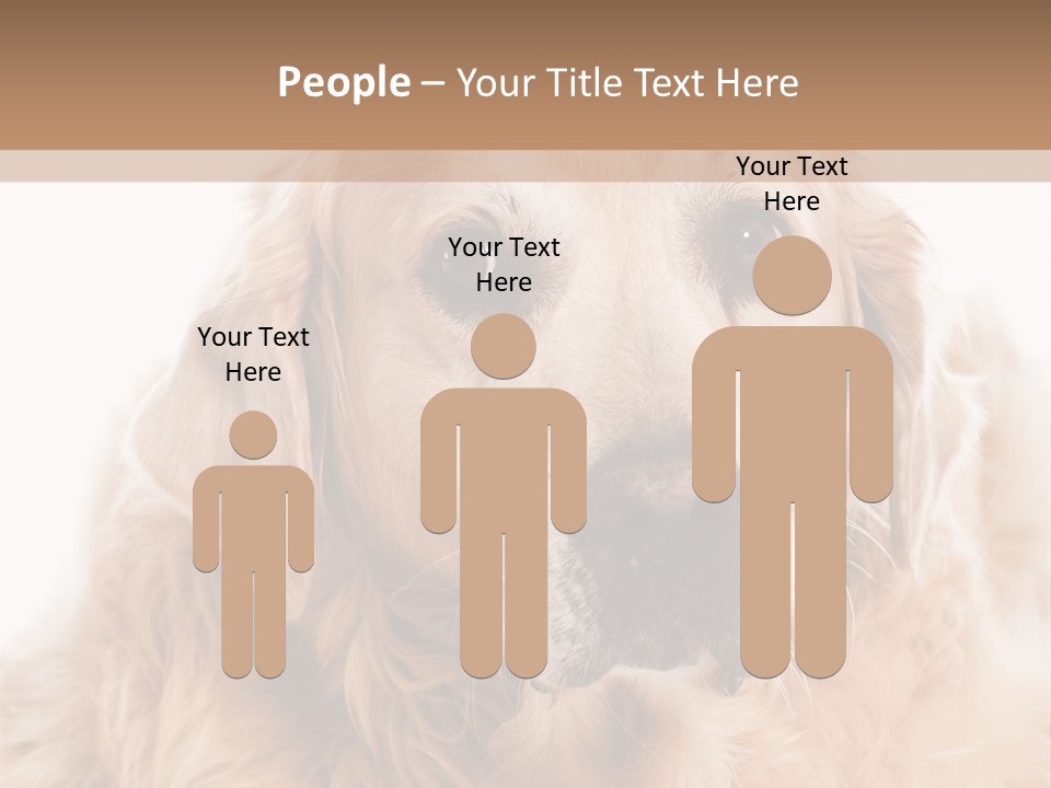 A Dog With A Hat On It's Head PowerPoint Template