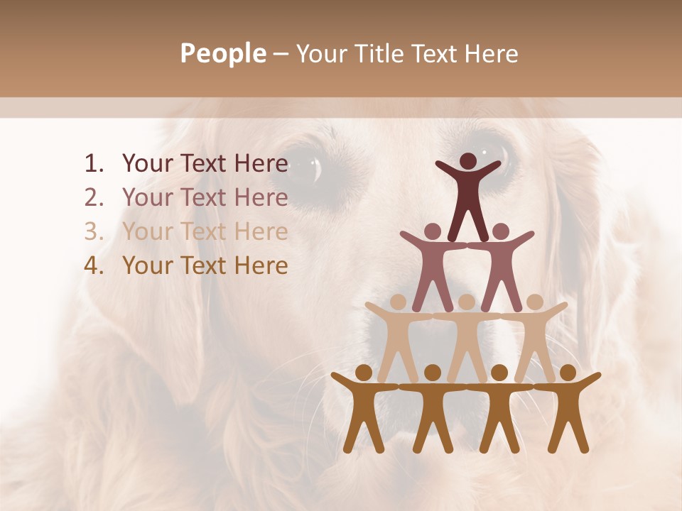 A Dog With A Hat On It's Head PowerPoint Template