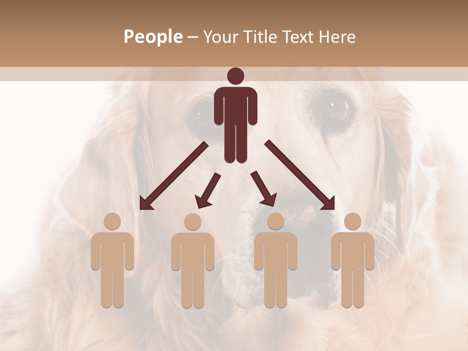 A Dog With A Hat On It's Head PowerPoint Template