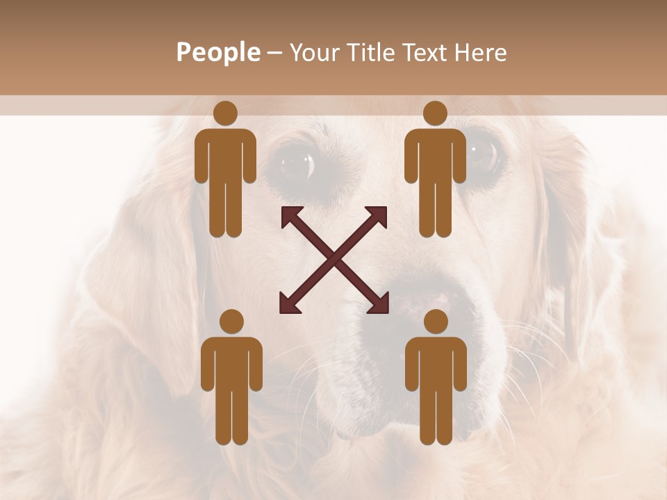 A Dog With A Hat On It's Head PowerPoint Template