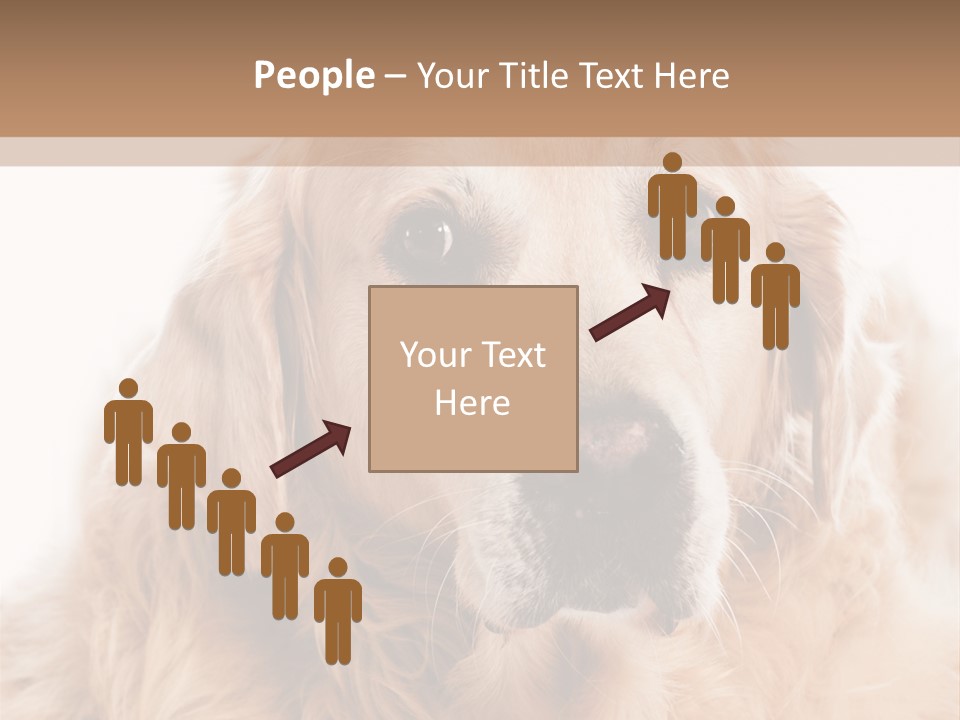 A Dog With A Hat On It's Head PowerPoint Template