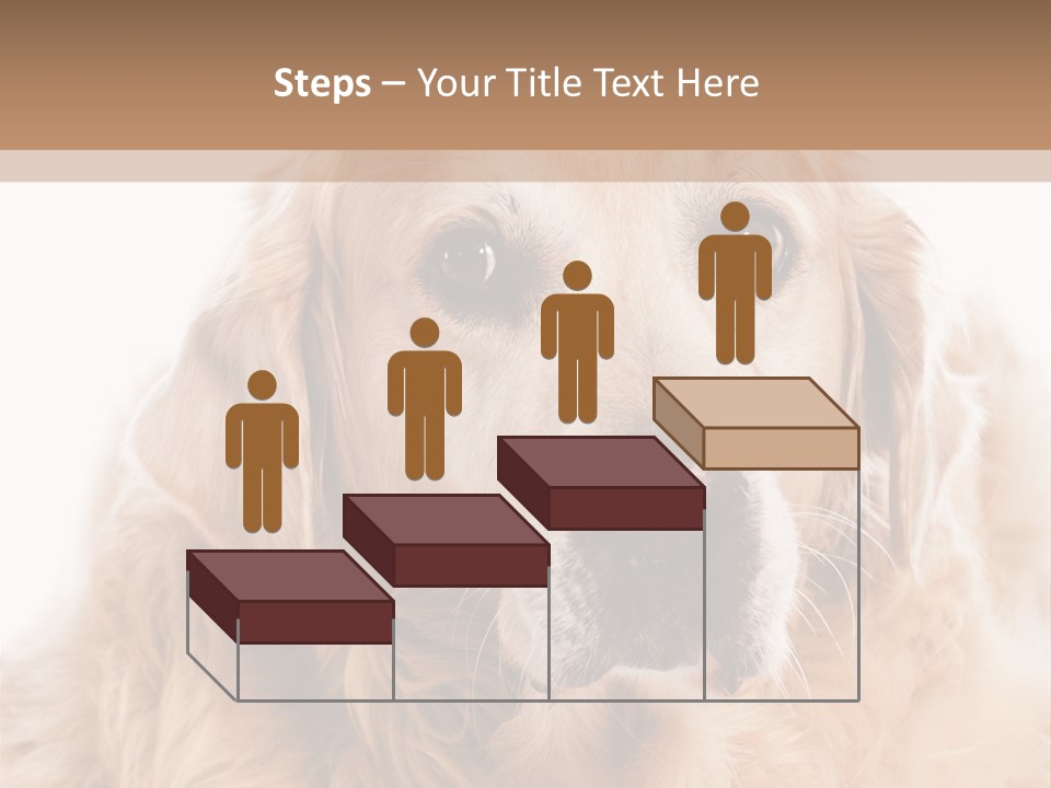 A Dog With A Hat On It's Head PowerPoint Template