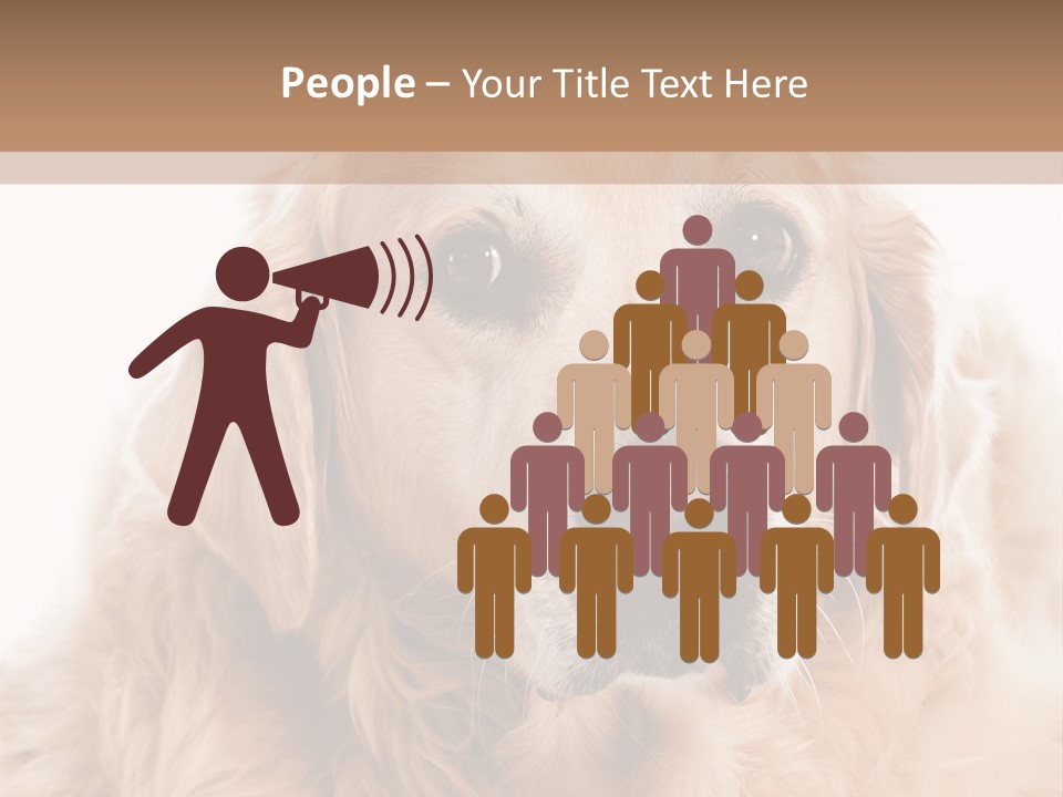 A Dog With A Hat On It's Head PowerPoint Template