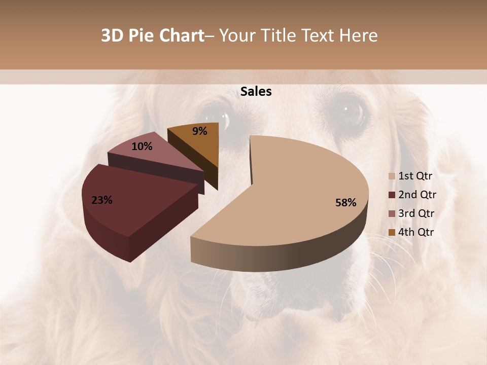 A Dog With A Hat On It's Head PowerPoint Template