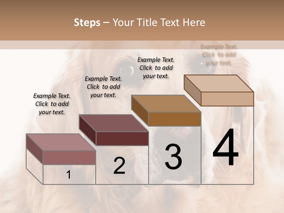 A Dog With A Hat On It's Head PowerPoint Template